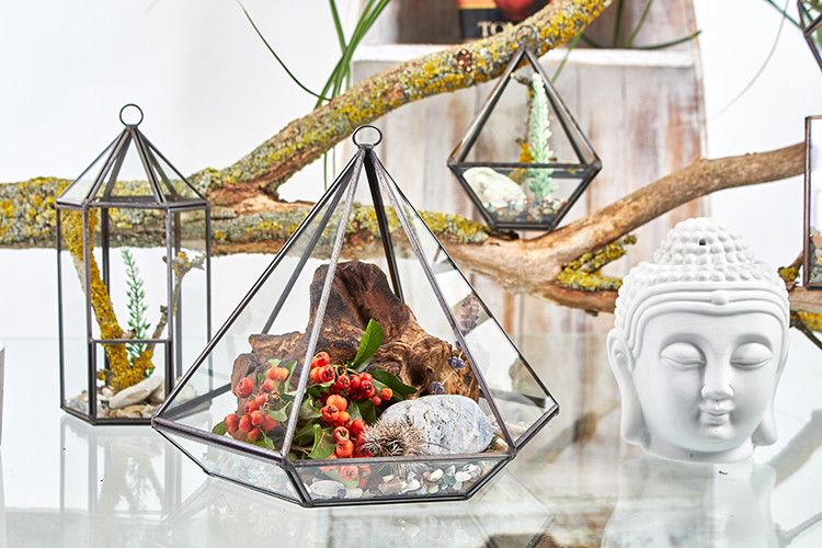 Glass Terrarium's