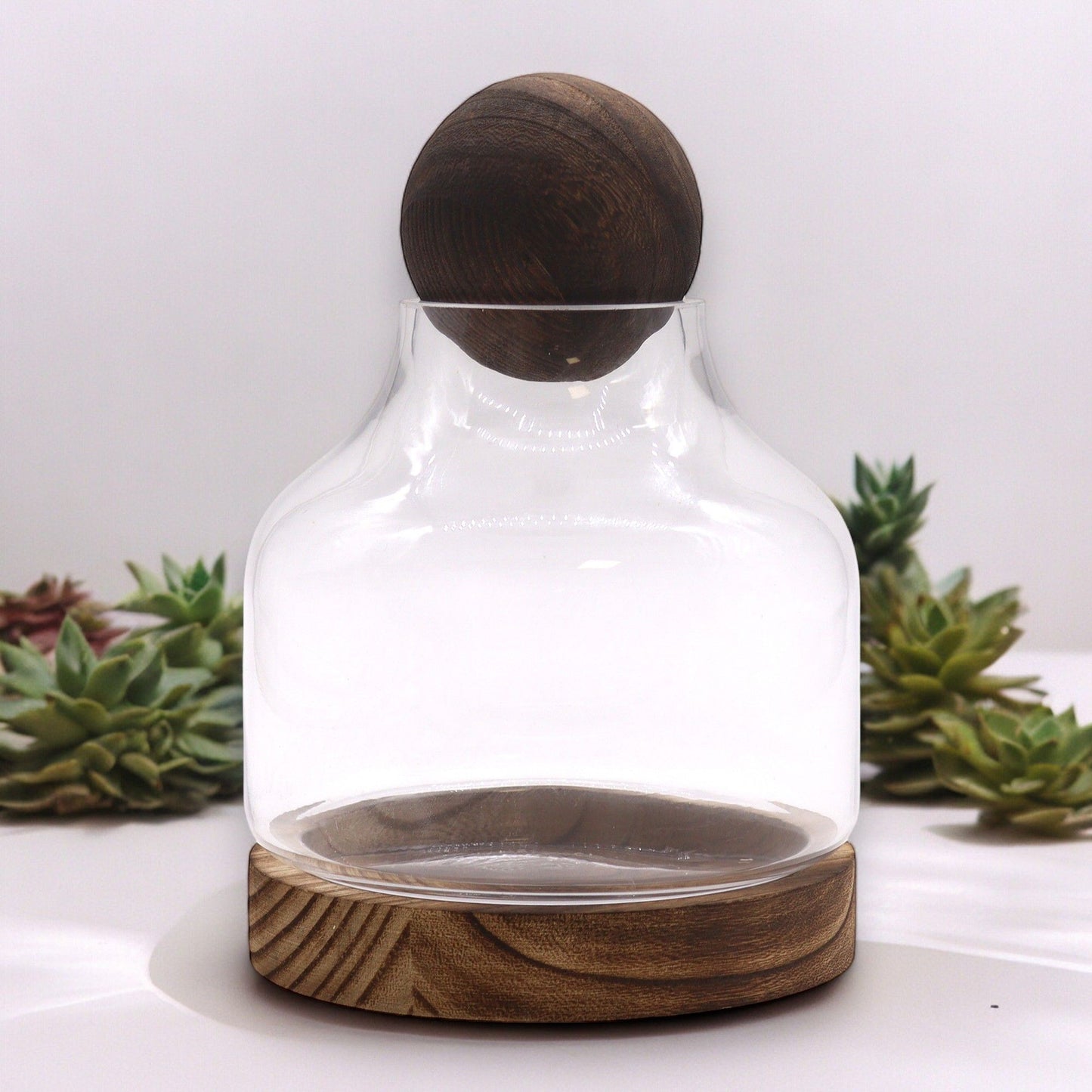 Medium Ball Top Terrarium on Dark Tung Wood