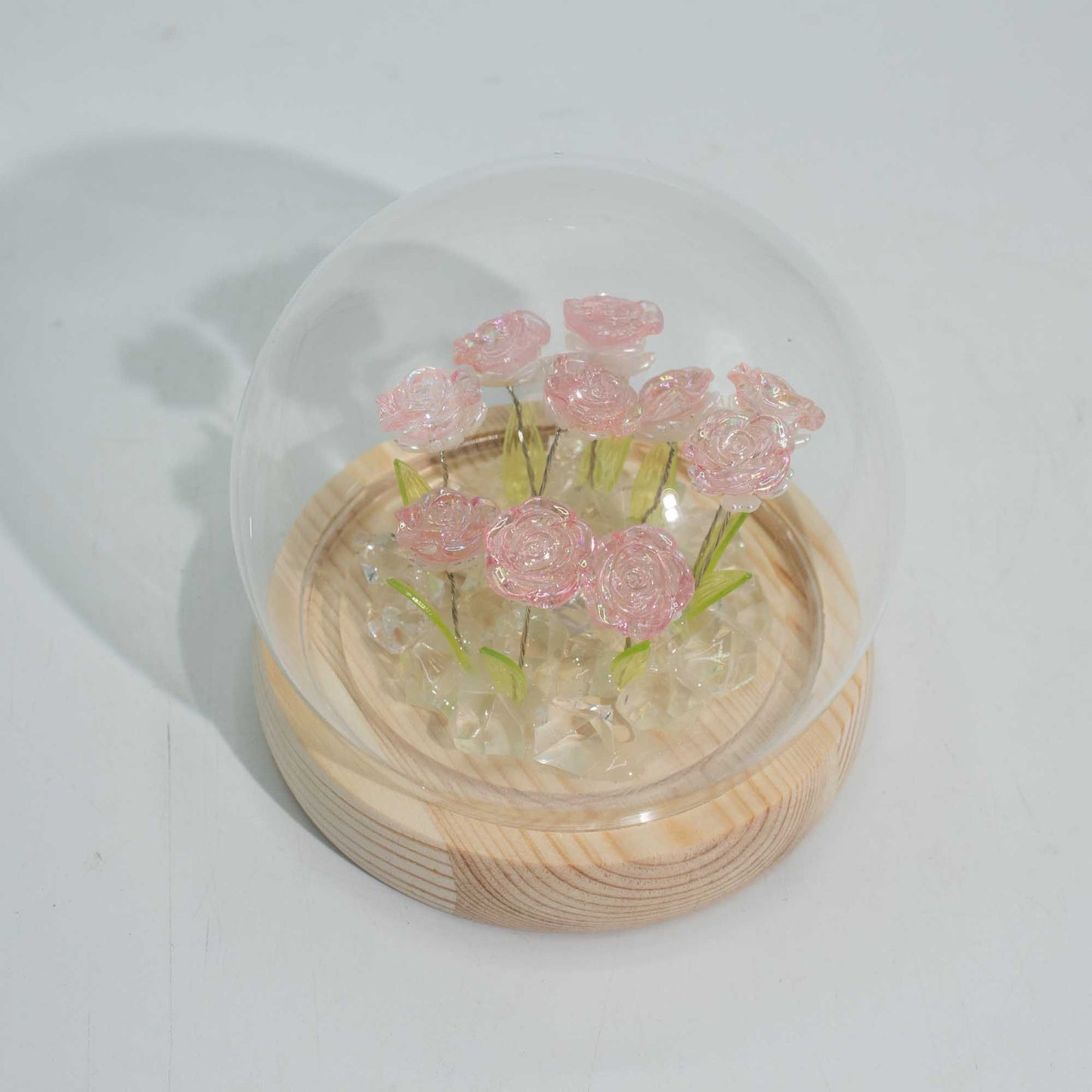 Floral Glow Garden Dome - 10 Pink Roses - LED USB