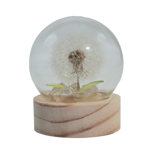 Floral Glow Garden Dome - 1 Dandilion- LED Battery