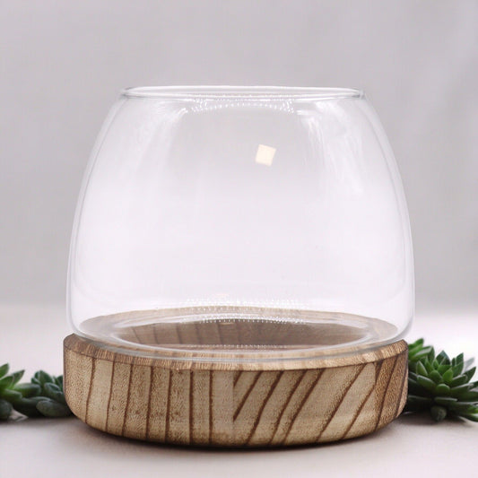 Small Terrarium on Natural Tung Wood