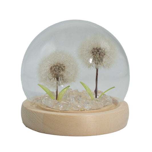 Floral Glow Garden Dome - 2 Dandelions - LED USB