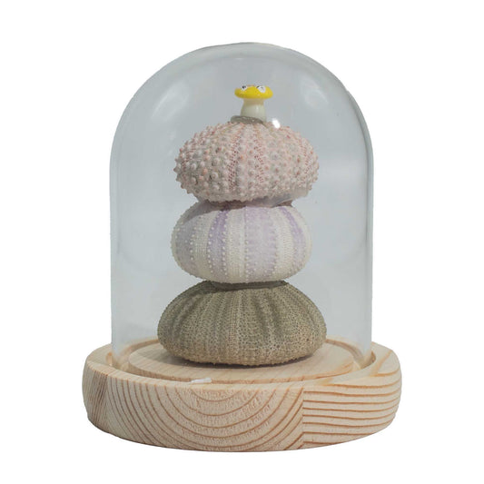 Floral Glow Garden Dome - 3 Sea Urchins - LED USB